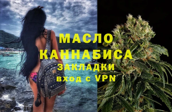 соль ск Гатчина