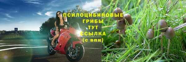 СК Переславль-Залесский