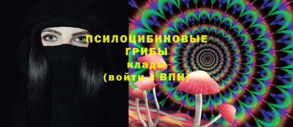 СК Переславль-Залесский