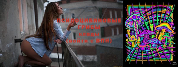 СК Переславль-Залесский