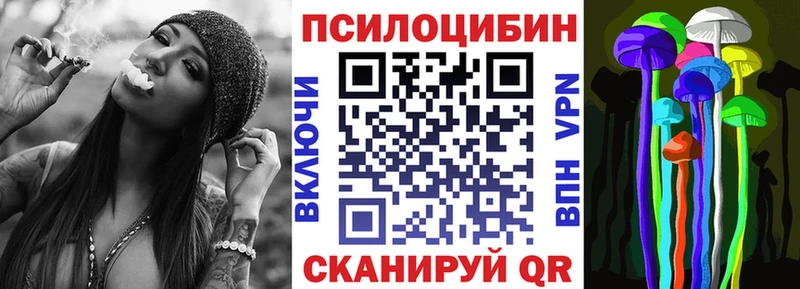 blacksprut tor  наркотики  Скопин  Галлюциногенные грибы Psilocybine cubensis 