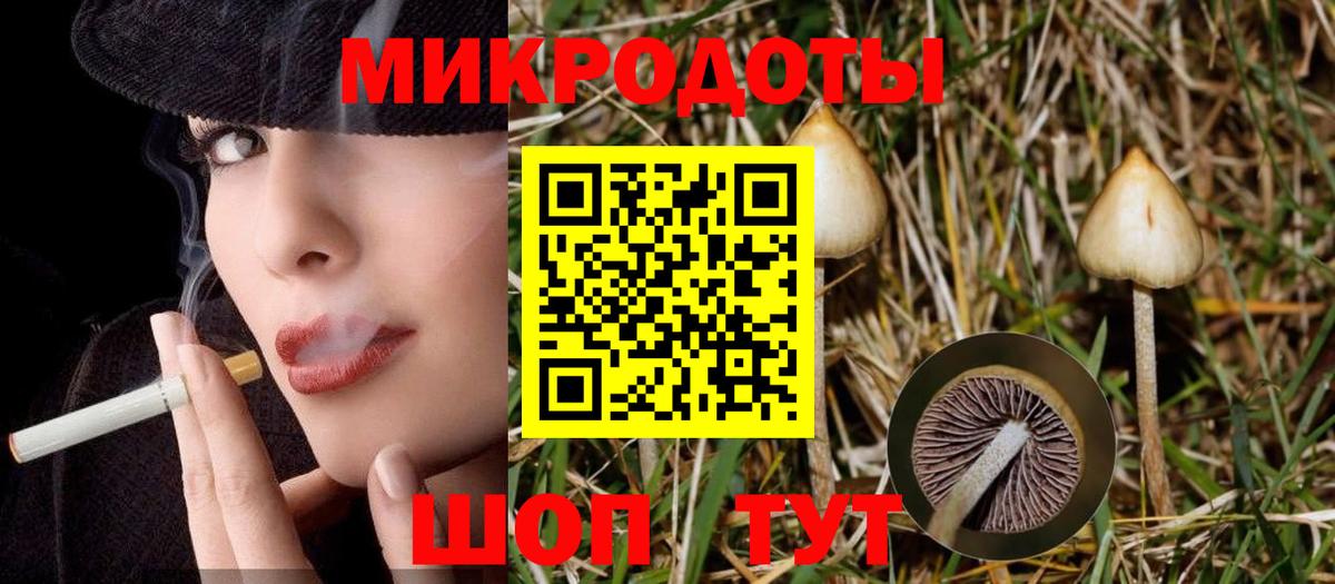 Скопин  Псилоцибиновые грибы Cubensis  Вход с VPN  где найти наркотики  Псилоцибиновые грибы мицелий 